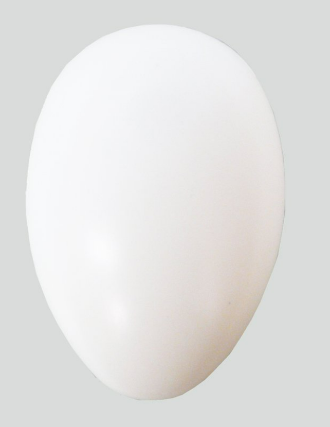 Kunststof-ei 75x110mm